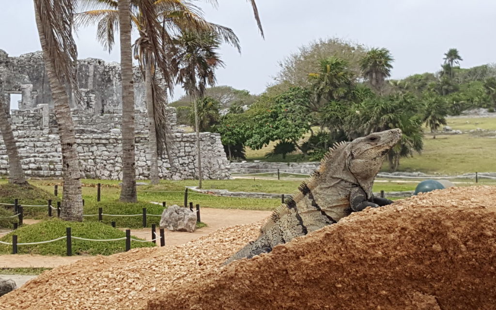 Tulum Ruins